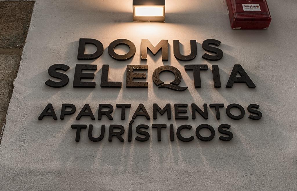 Apartamentos Turisticos Domus Seleqtia Plaza Mayor Касерес Экстерьер фото