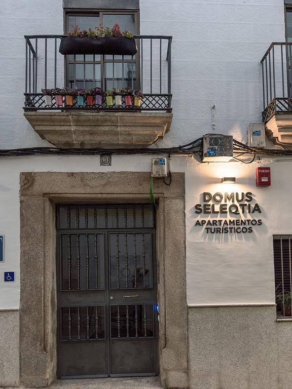 Apartamentos Turisticos Domus Seleqtia Plaza Mayor Касерес Экстерьер фото