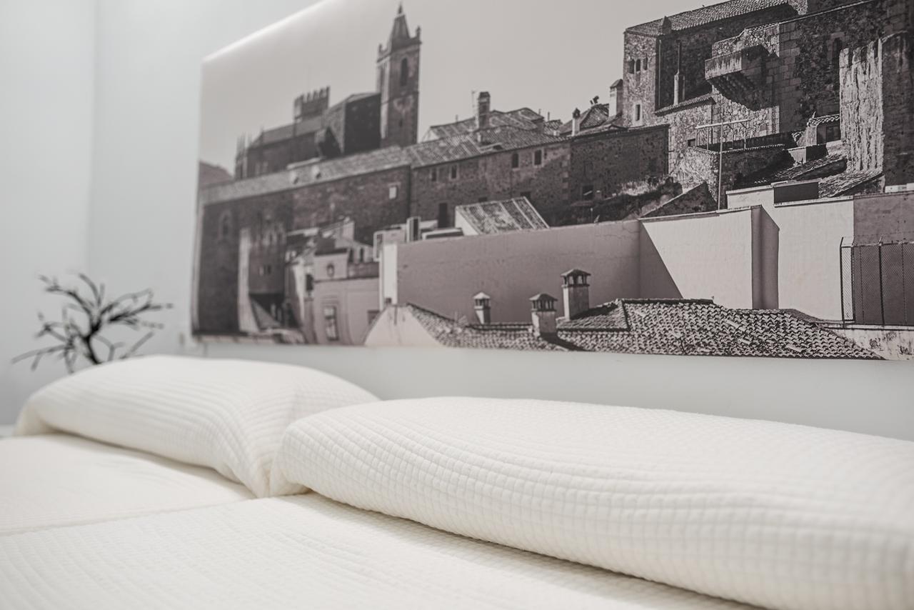Apartamentos Turisticos Domus Seleqtia Plaza Mayor Касерес Экстерьер фото